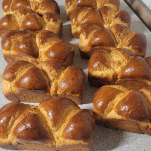Brioche 100% Tarnaise